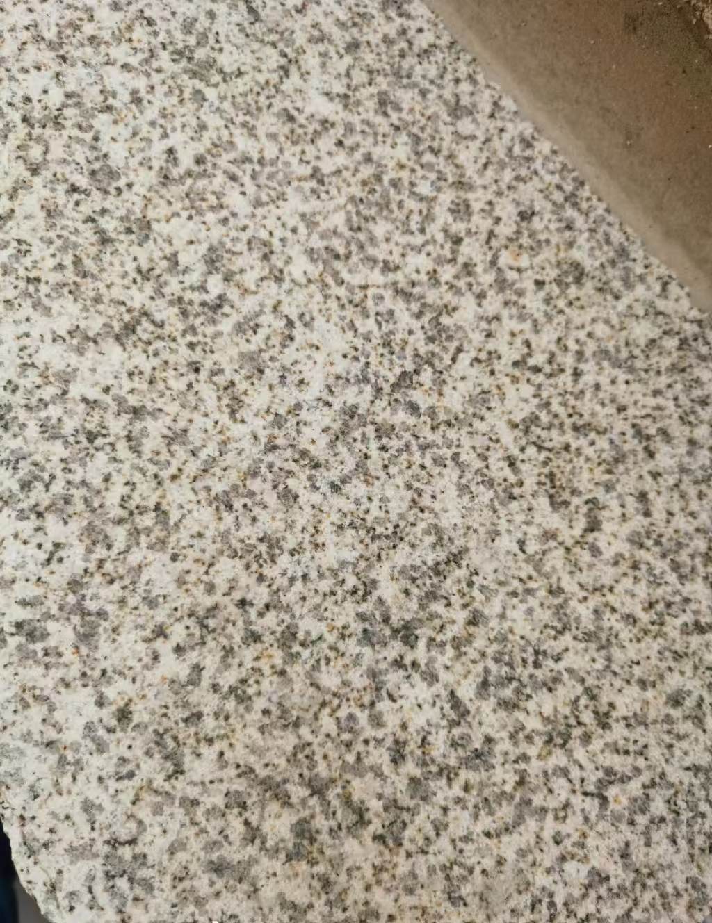 江西 黄金麻中黄光面