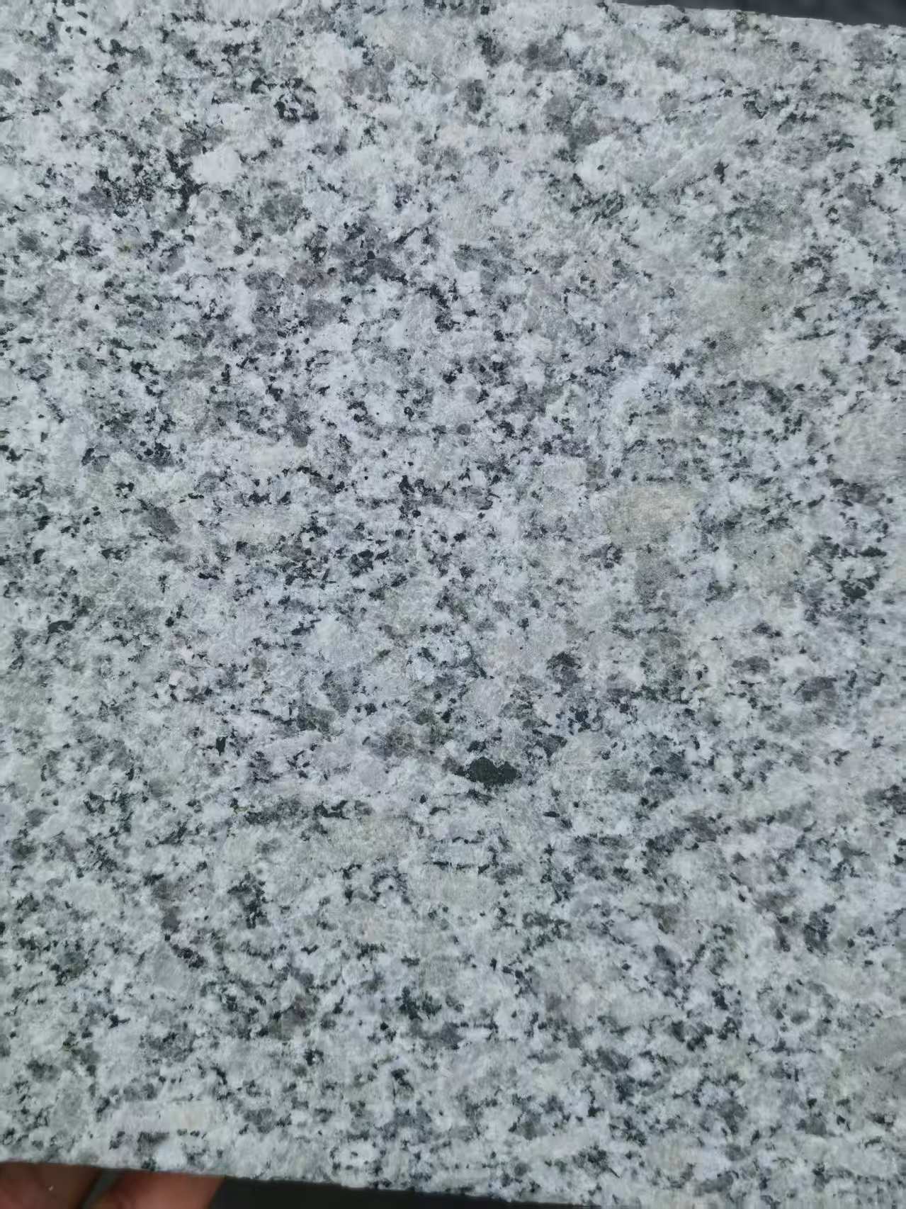 江西 芙蓉白火烧面