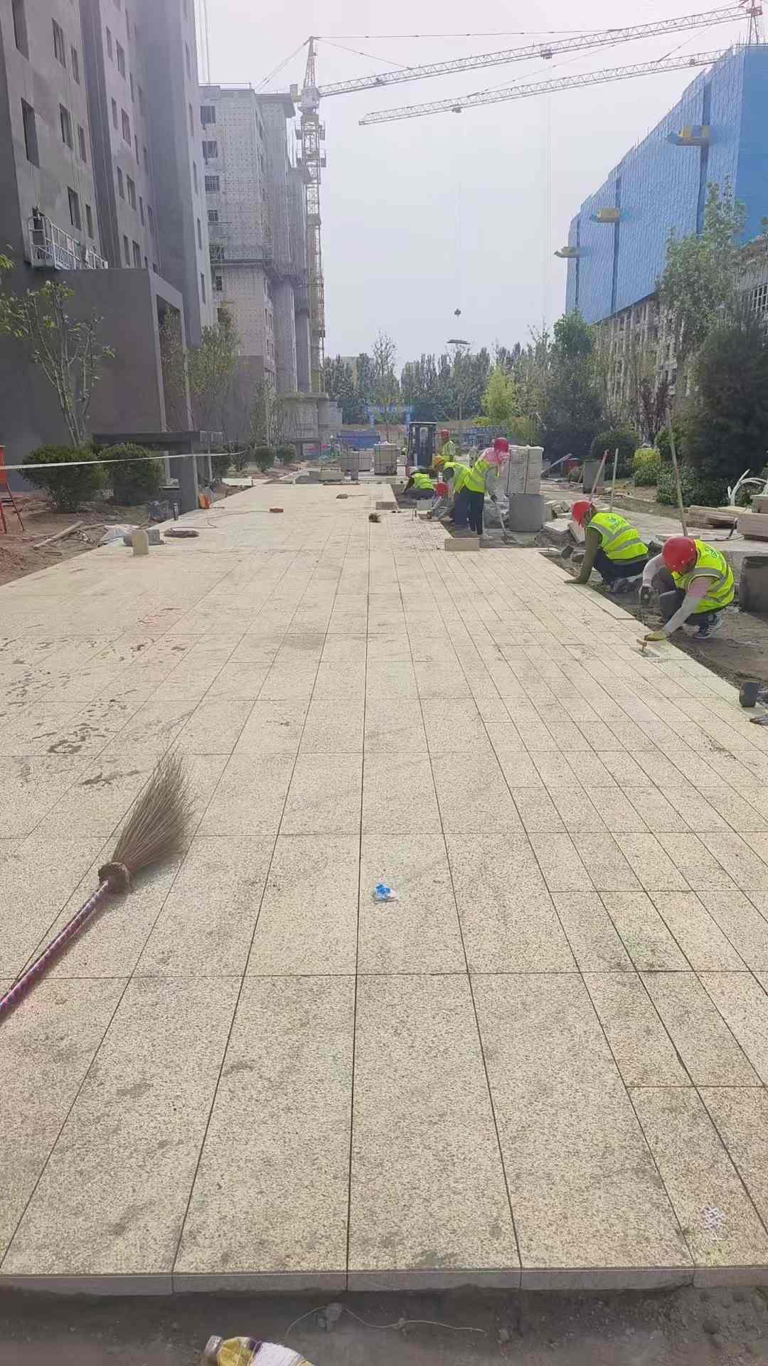 江西黄金麻荔枝面地铺案例